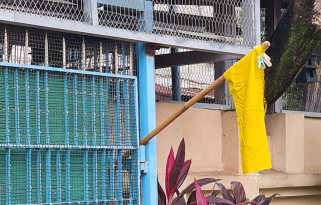 Yellow flags colour Myanmar as junta’s Covid-19 response flounders