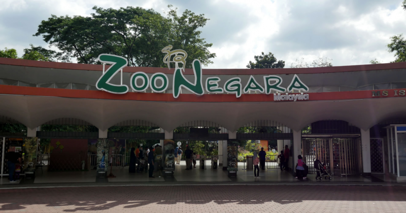 Zoo Negara staff want shift work in full lockdown closure