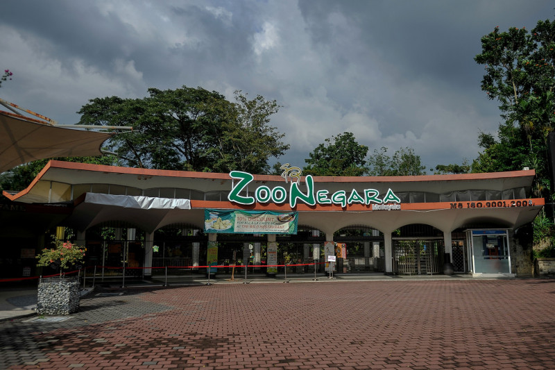 Donations pour in for Zoo  Negara  despite movement curbs 