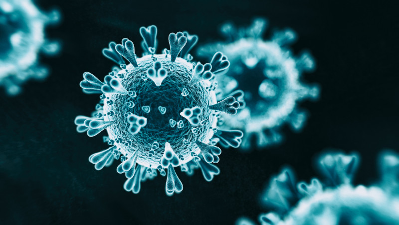 Variants raise Covid-19 questions, concern