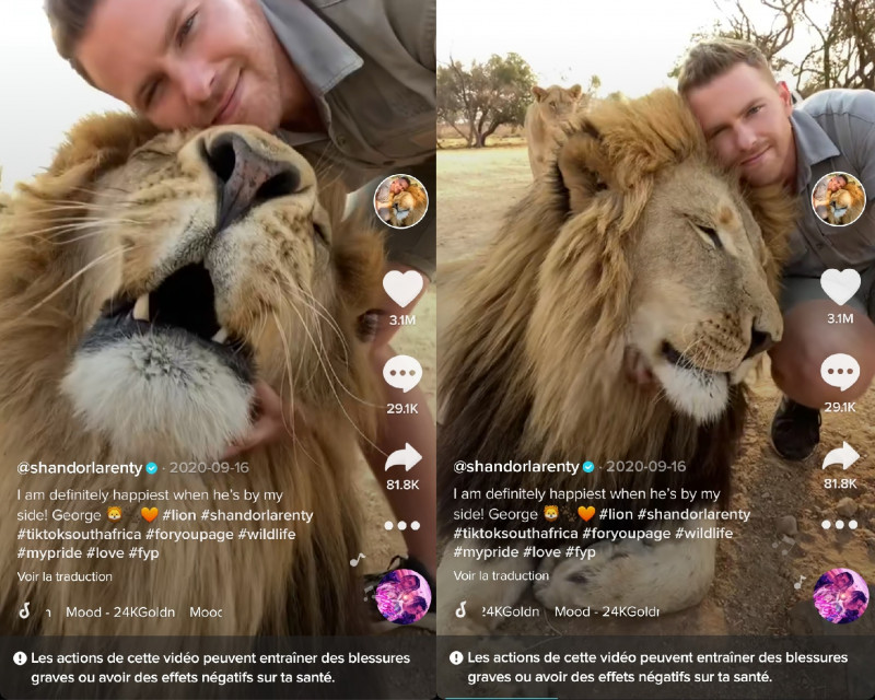 The latest TikTok stars are wild animals